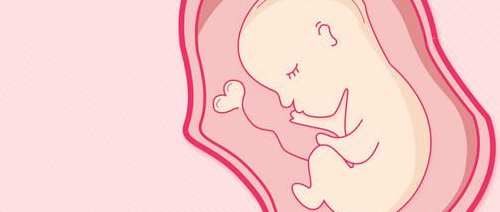 2026年广医三院试管婴儿成功率分析及具体数据揭晓