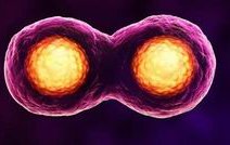 三代试管婴儿饮食要点及注意事项