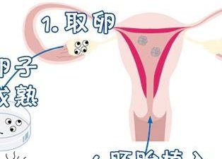 上海三代试管生孩子医院排行榜一览表，哪个比较好看资质？